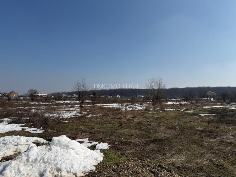 Domnești, teren langa pădure, 420mp, utilități,  deschidere 21ml, intravilan - 5