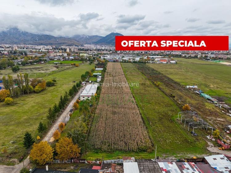 Teren industrial- Timișul Sec oportunitate investițională - 2