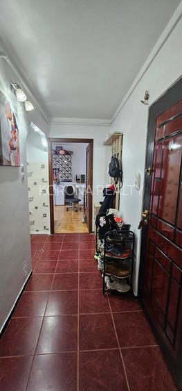 Apartament cu 2 camere de vanzare decomandat zona Faget - 10