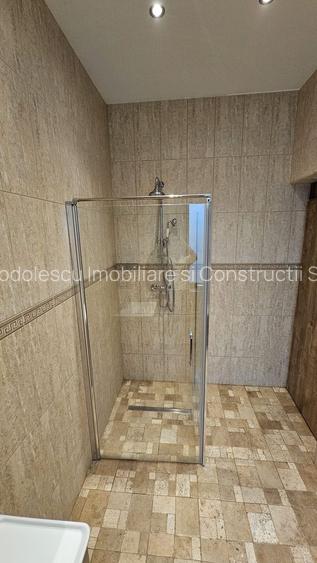 Vila individuala la 30 km de Timișoara - 24