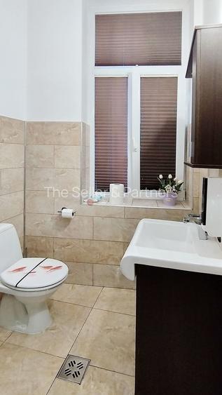 Spatiu Comercial Zona Centrala - 13