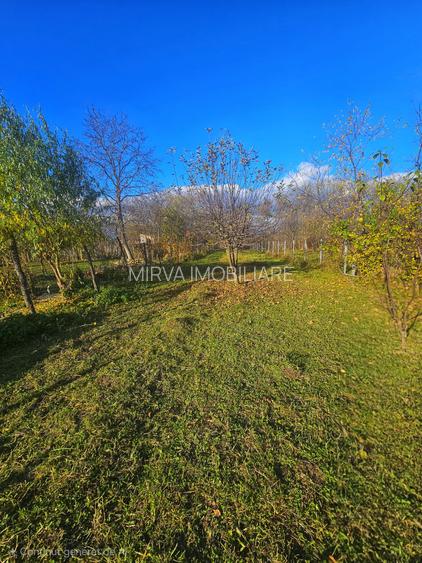 Exclusivitate! Casă cu teren generos în Sat Olteni, Com.Teișani - 11