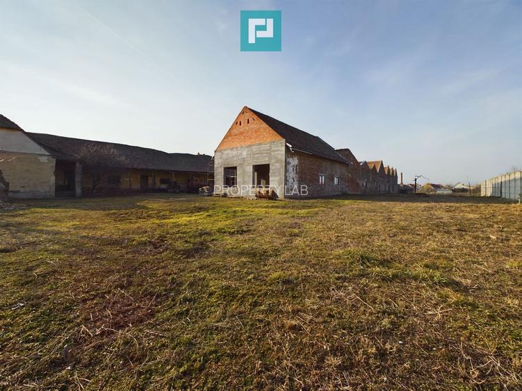 Teren și hale pe Calea Aradului din Periam - 14