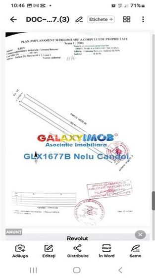 VANZARE TEREN INTRAVILAN 10000 MP  COMUNA BERCENI - 12