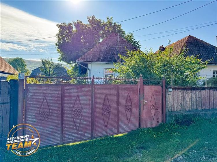 FILM! Proprietate traditionala,de poveste,cu 3.000 mp teren intravilan,Zagon,Cov - 29