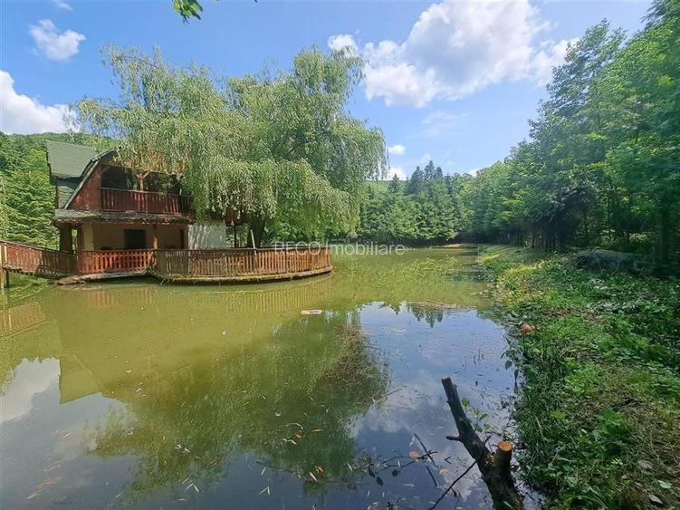 Cabana pe apa in Padurea Neagra - 6