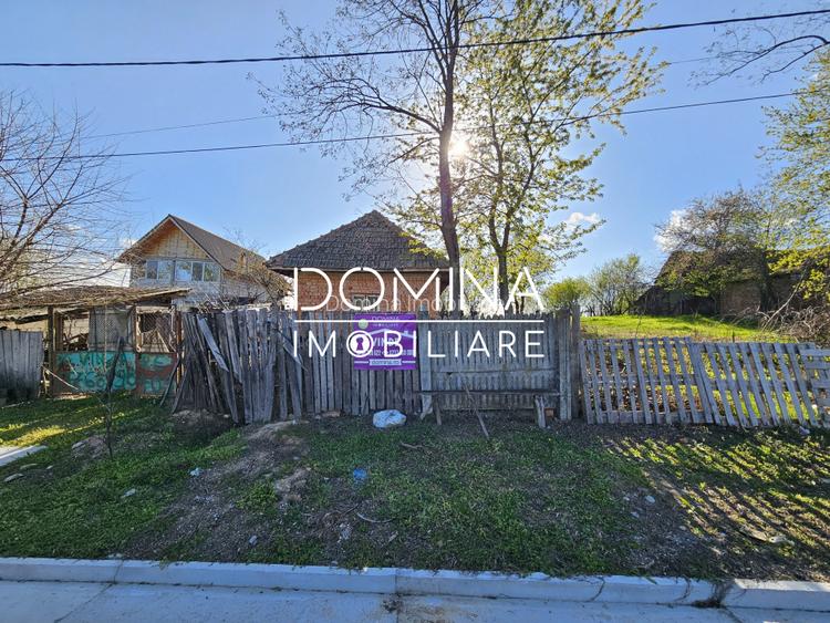 Vanzare teren 4606 mp - Sat Balta - Runcu - la aproximativ 20 km de Targu Jiu - 2