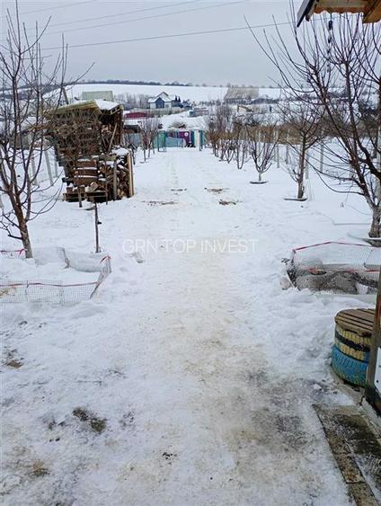 Teren extravilan cu apa si curent 700 mp in Sura Mare - 12