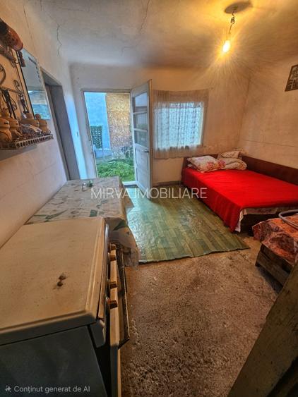 Exclusivitate! Casă cu teren generos în Sat Olteni, Com.Teișani - 21