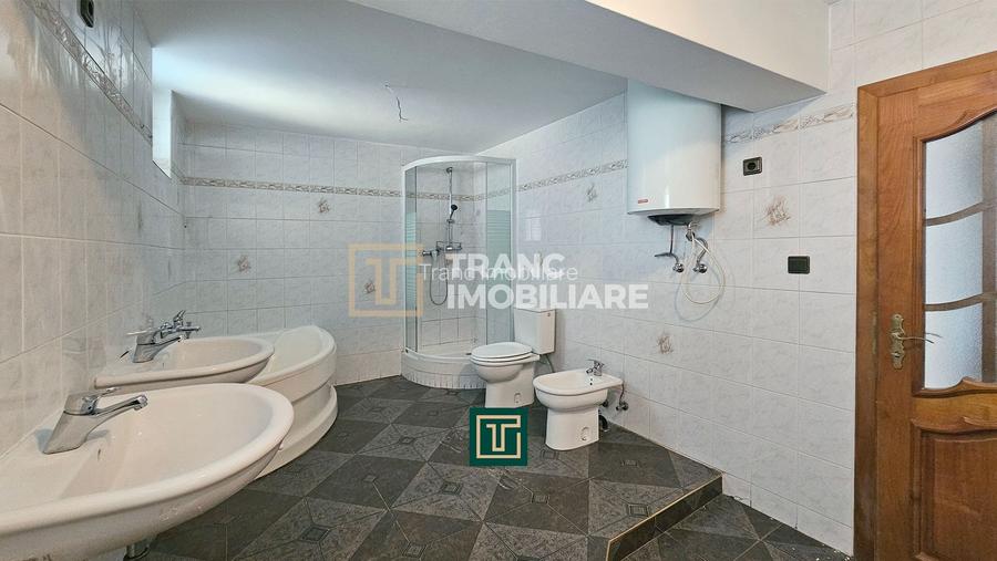 Proprietate multifunctionala - teren generos, cladire si hala in Lugoj - 14