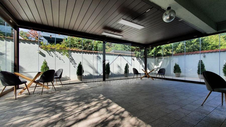 Vanzare Vila de exceptie - Domenii - 9