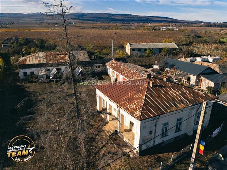 FILM! Domeniu de 4.000 mp intravilan+ casa boiereasca autentica,in podgoriile Od - 14
