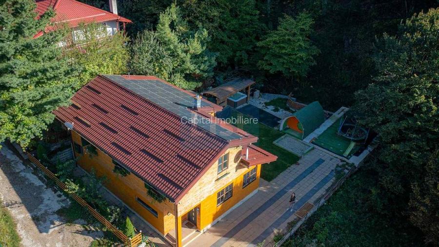 Casa de vacanta superba in Crivaia - 20