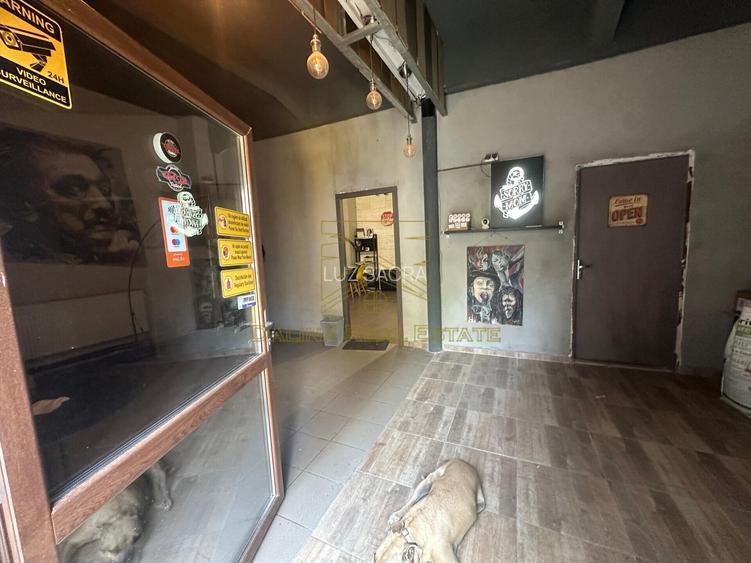 Vanzare - Proprietate cu Potential-Locuinta si Business - 38