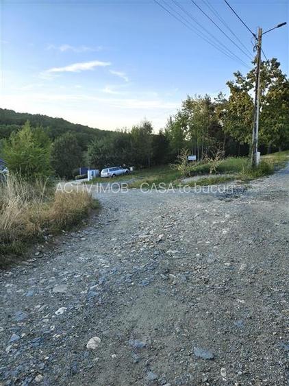Teren intravilan de vanzare in padure Cisnadioara - 16