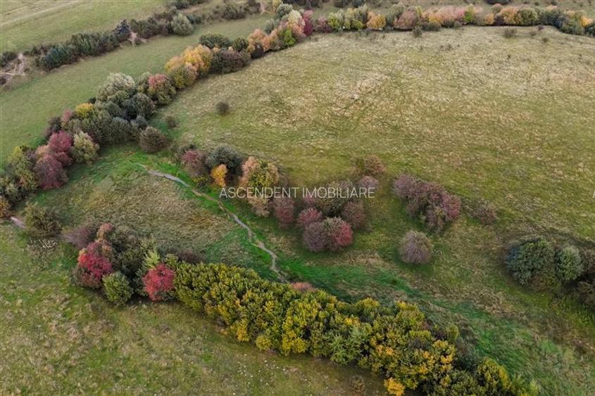 FILM! Parcela imprejmuita,design casa,aviz constructie,1.085 mp,Panicel,Rasnov - 23