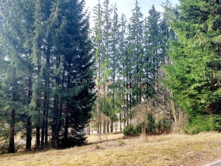 Teren intravilan în Poiana Brașov 1404 mp, str. Poiana Ruia - 6