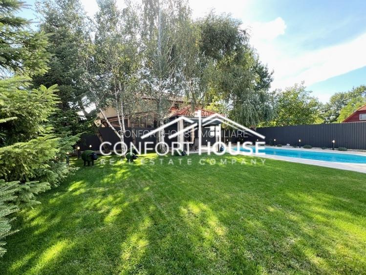 Vila de lux, stil contemporan -  IANCU NICOLAE - 49