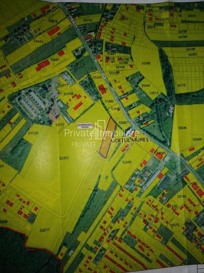 Teren 5 300 Mp Intravilan De Vanzare, Str Bujorului, Corunca - 5