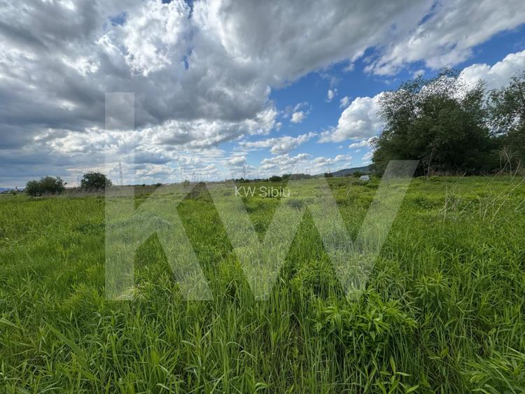 Teren extravilan arabil de vanzare – Bungard, Șelimbar - 4