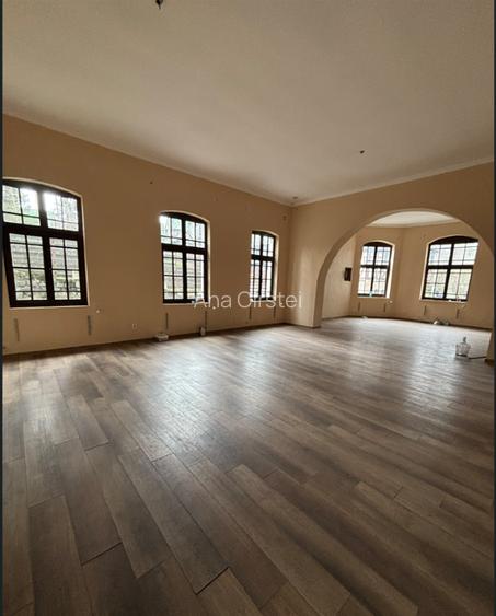 Spatiu pt restaurant de inchiriat - langa Castelul Peles - 10