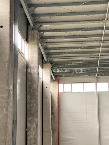 HALA INDUSTRIALA TETAROM JUC 3600 mp - 4