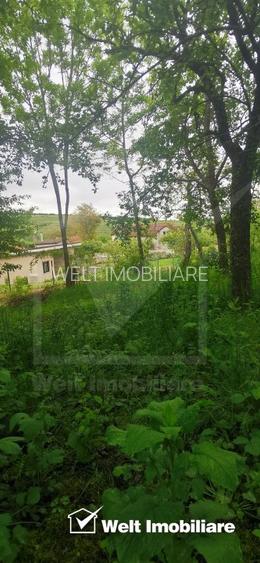 Ocazie!Teren intravilan in comuna Ciurila sat Saliste, priveliste - 3