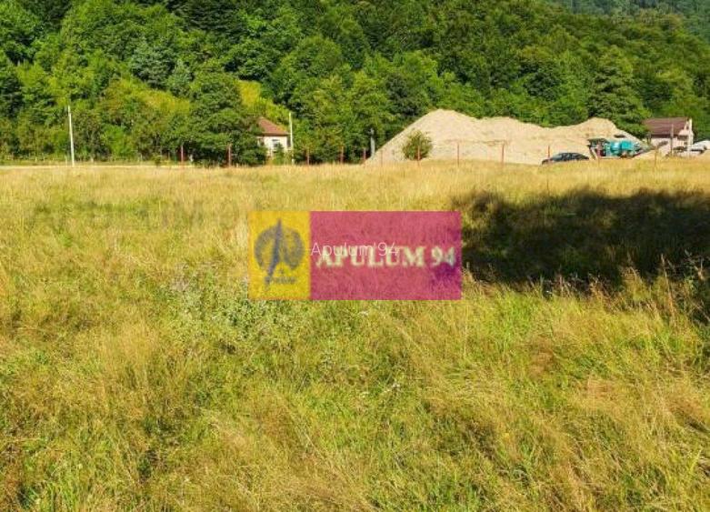 Teren Județul Vâlcea - Brezoi, Valea lui Stan - 3