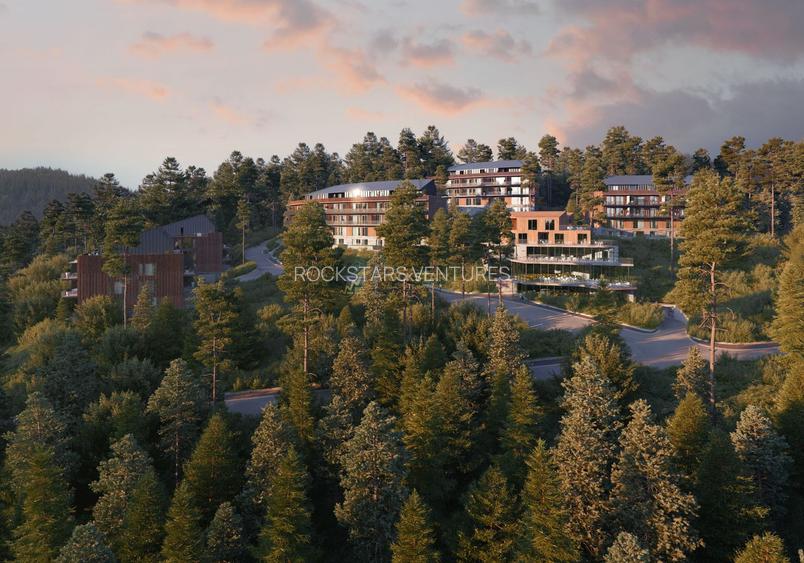 Studio | Terasa 13mp | Poiana Brasov - 4