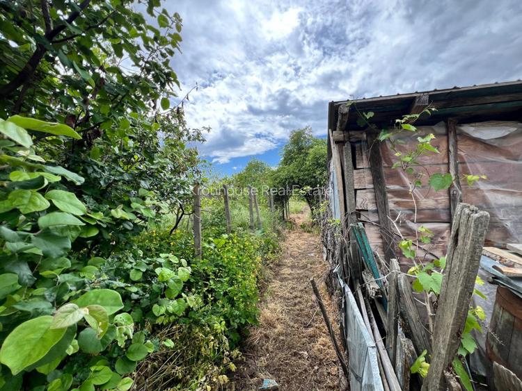 Casa + teren 4430 mp, vie si pomi fructiferi, 22 km de Tecuci - 16