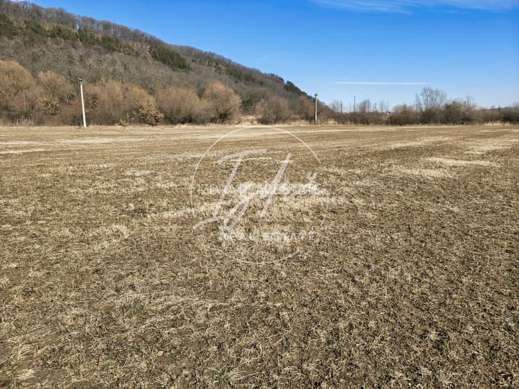 Teren de vanzare  - 12