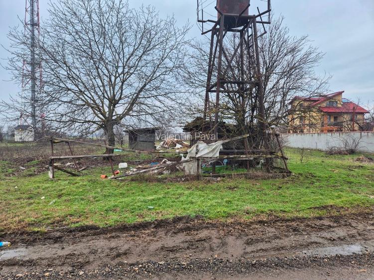 Teren Branesti Islaz Propietar - 2