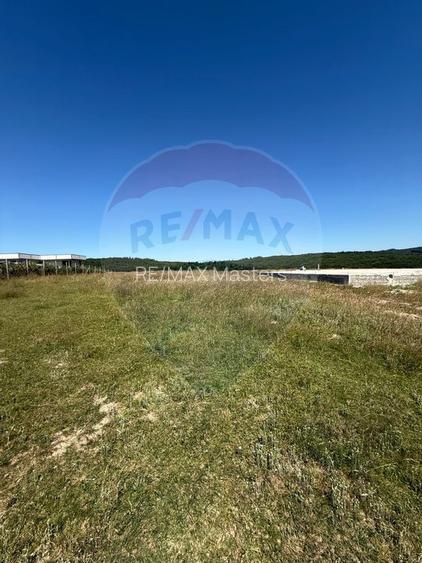 Teren 3,757mp Paltinoasa / Strada principala - 13