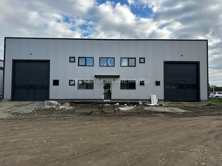 Depozit 300 mp Varfu cu Dor - 3