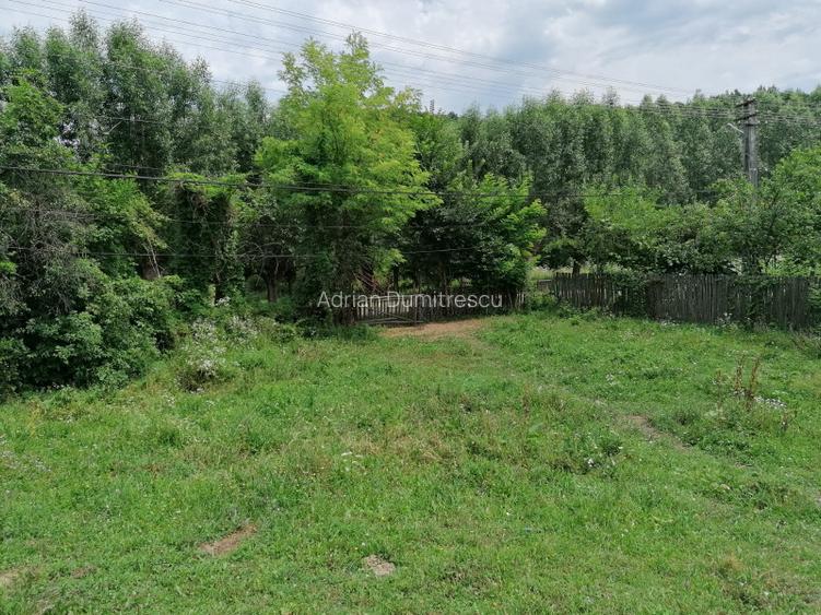 Curte 1512/3025mp , Bughea de Jos, 5 min Valeni PH - 17
