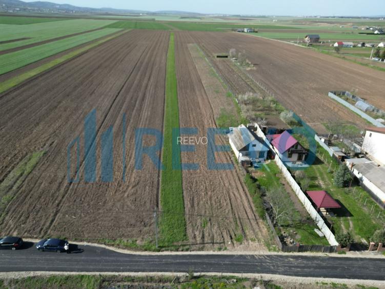 Teren de vânzare, Com. Nicolae Bălcescu, Jud. Bacău - 2