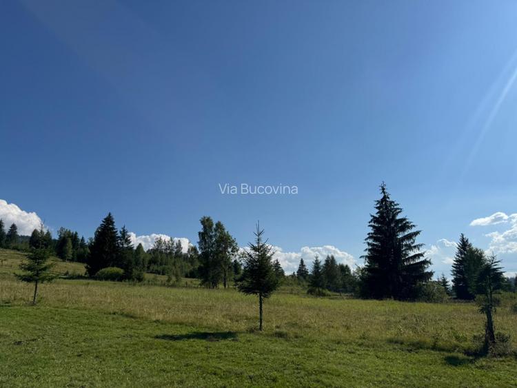 Vanzare 16700 - 9 loturi - Plaiul Sarului la sosea- microdezvoltare langa oras - 10