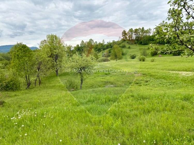 Teren 20,876mp Breb / Drumul Principal - 2