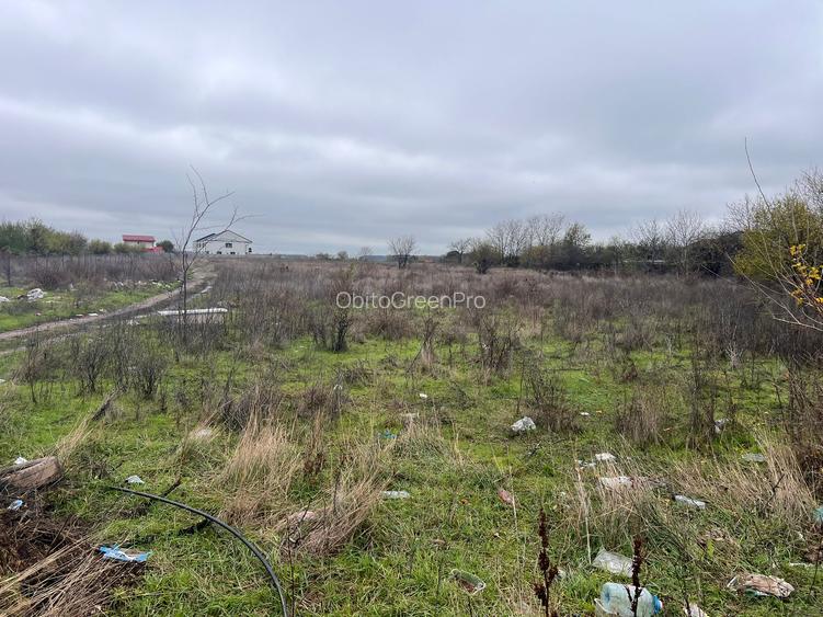 TEREN DE VANZARE PROGRESULUI 5600 MP !!! - 7