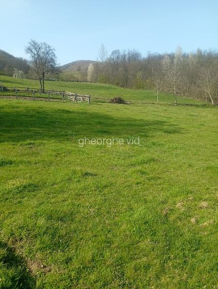 Vând terenuri,intravilane și extravilane !!! - 7