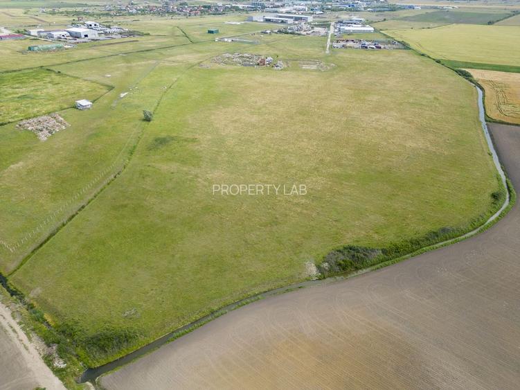 Teren intravilan de 29,970mp Sacalaz - 28