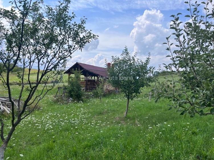 Casǎ spațioasă de vânzare  demisol, parter , etaj  - 6