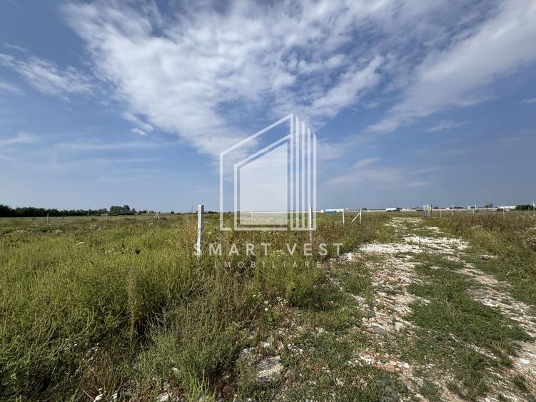 Teren 1000 mp | Zona Balta Blonda