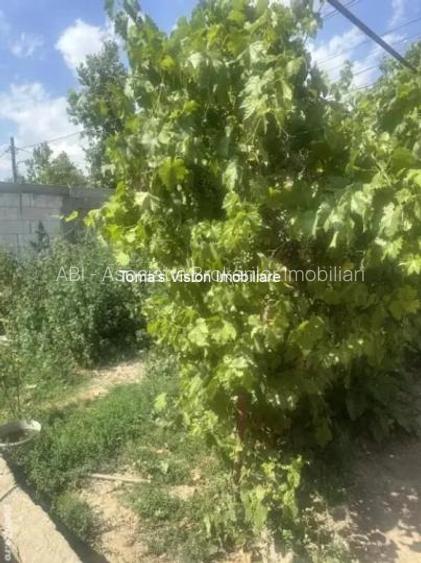 Vanzari Terenuri Straulesti - 2