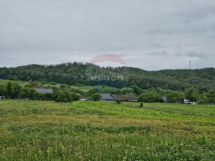 Teren 1,495mp Dobreni / Strada Parau Almas - 4