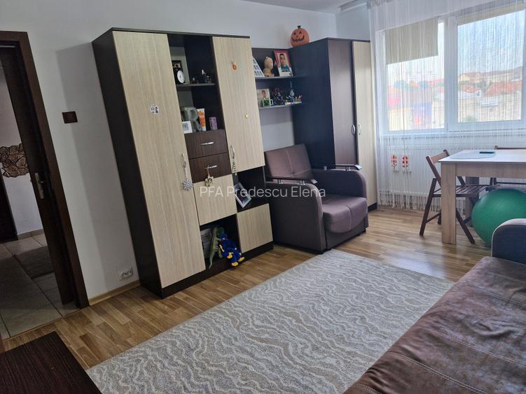 Șagului-Rebreanu arteră principală - 5