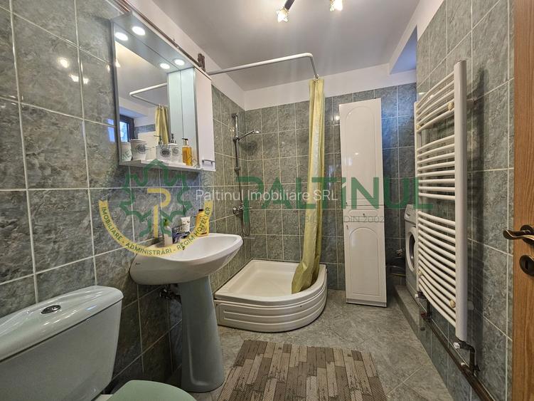 Apartament de închiriat la casă, 2 camere, aproape de Parcul Sub Arini – Sibiu - 14