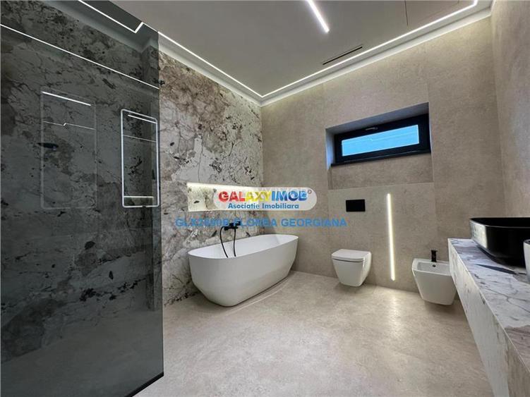 Vanzare casa superba Tunari - 24