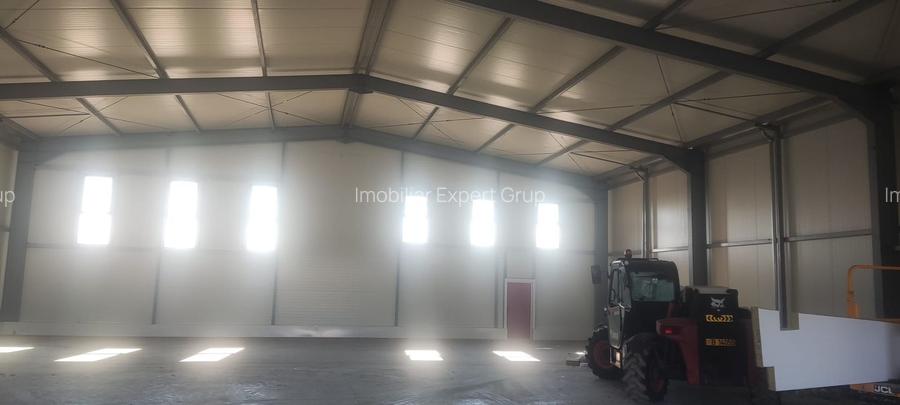 Hale noi PRET BOMBA ( 2 bucati ) 538 mp buc. Frumusani- Autostrada AO - 9