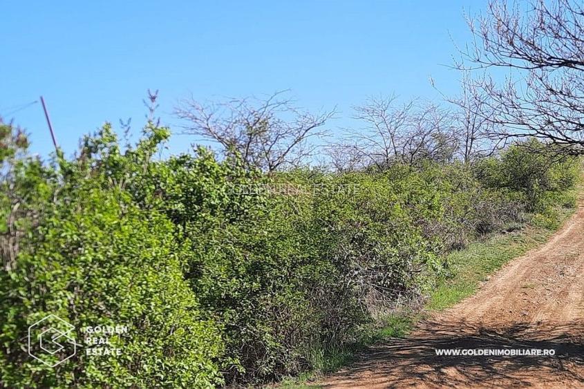 Teren intravilan Valea Domneasca,  localitatea Ghioroc - 2